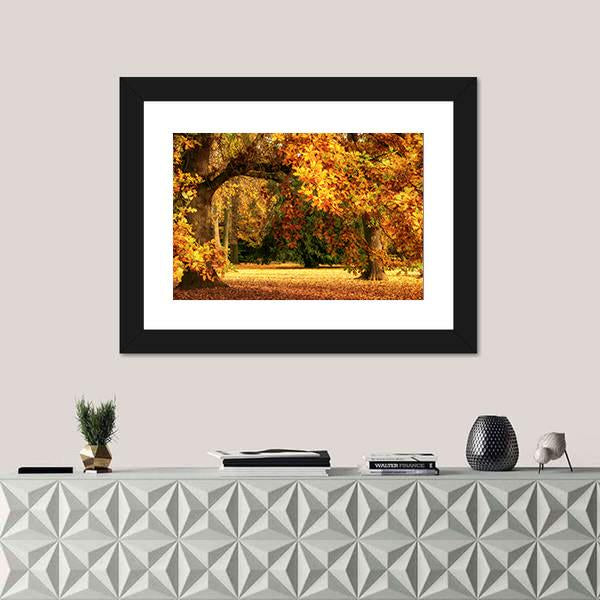 Tranquil Autumn Scenery Showing A Magnificent Oak Tree Canvas Wall Art-3 Horizontal-Gallery Wrap-25" x 16"-Tiaracle