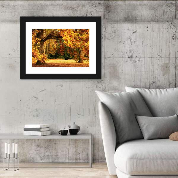 Tranquil Autumn Scenery Showing A Magnificent Oak Tree Canvas Wall Art-3 Horizontal-Gallery Wrap-25" x 16"-Tiaracle