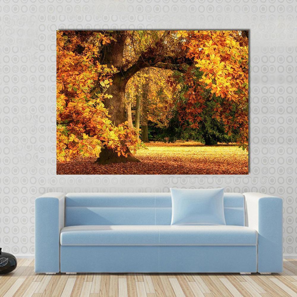 Magnificent Oak Tree with Vibrant Autumn Foliage Canvas Wall Art in brown, orange and yellow, single panel hung on a wall