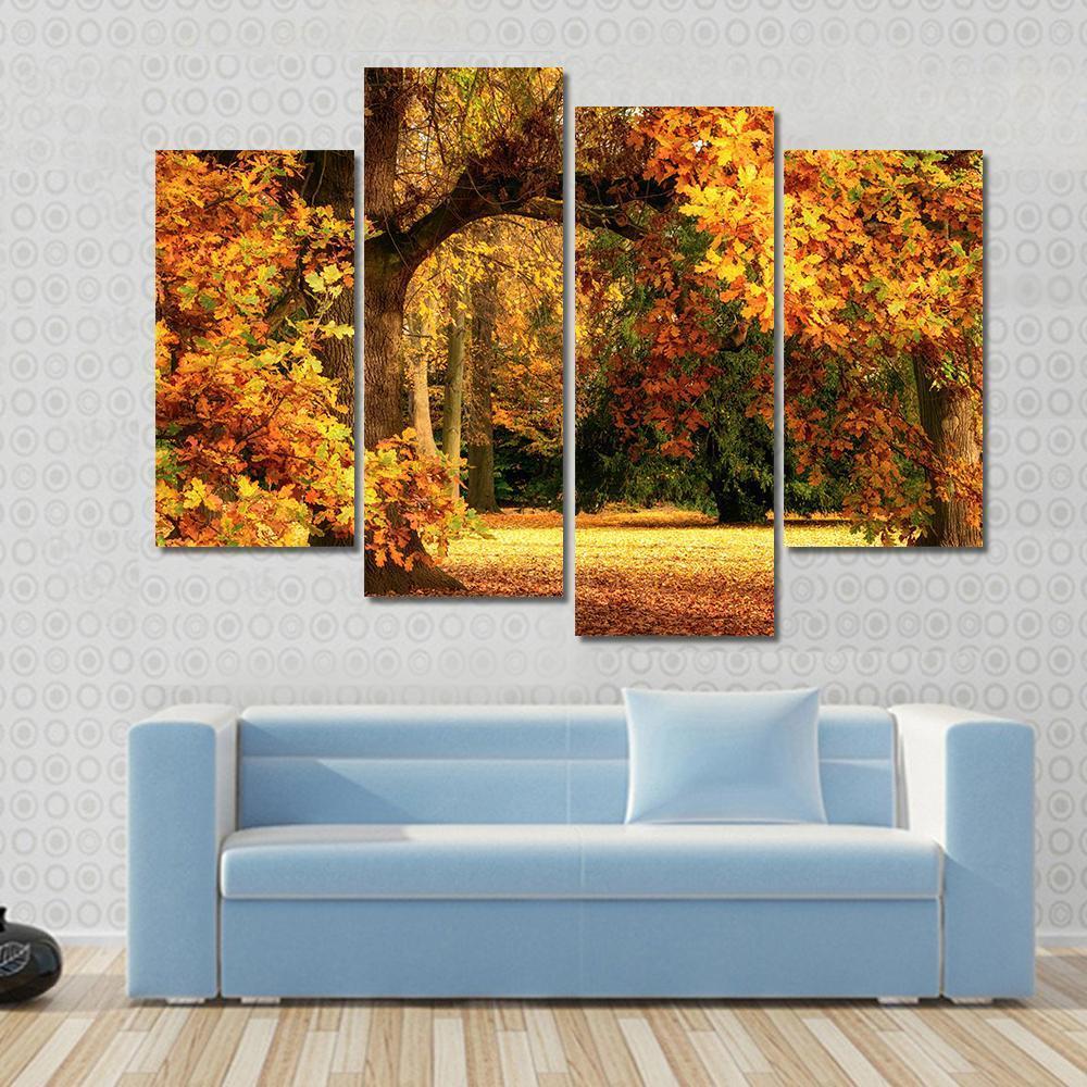 Tranquil Autumn Scenery Showing A Magnificent Oak Tree Canvas Wall Art-4 Pop-Gallery Wrap-50" x 32"-Tiaracle