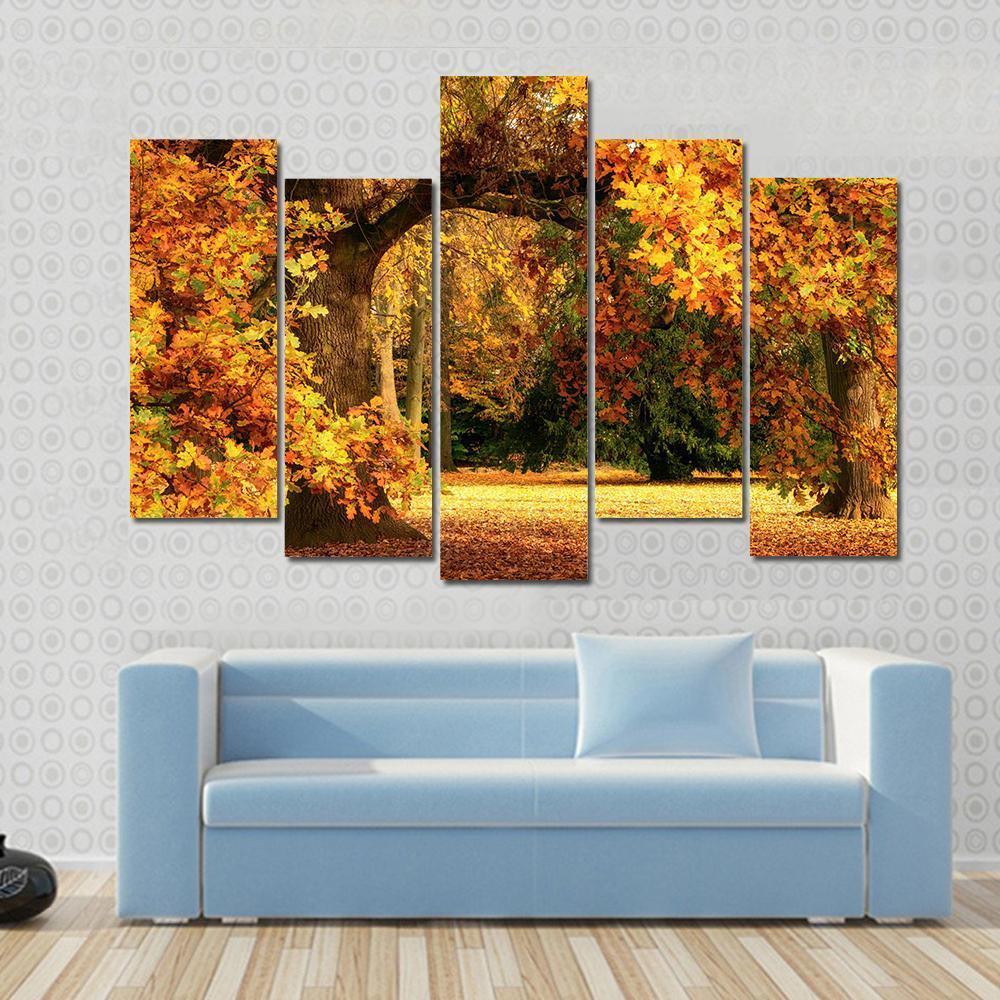 Tranquil Autumn Scenery Showing A Magnificent Oak Tree Canvas Wall Art-5 Pop-Gallery Wrap-47" x 32"-Tiaracle
