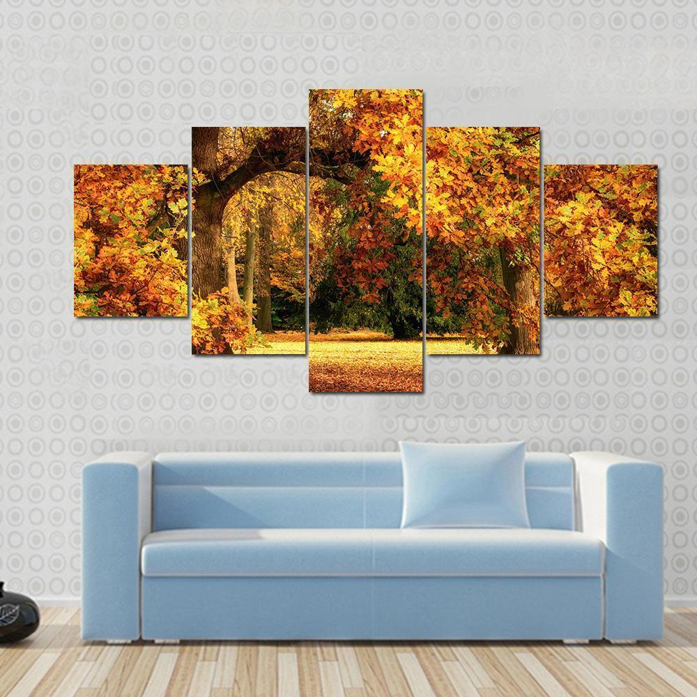 Tranquil Autumn Scenery Showing A Magnificent Oak Tree Canvas Wall Art-5 Star-Gallery Wrap-62" x 32"-Tiaracle