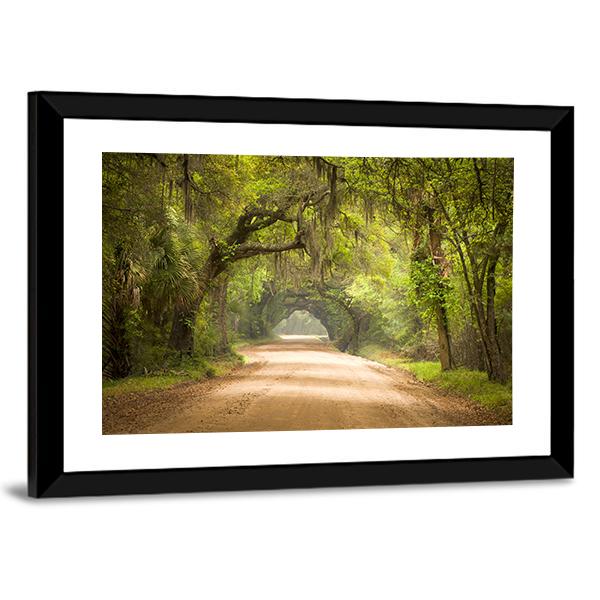 Travel In Deep Forest Of Spanish Moss Edisto Island Canvas Wall Art-3 Horizontal-Gallery Wrap-25" x 16"-Tiaracle