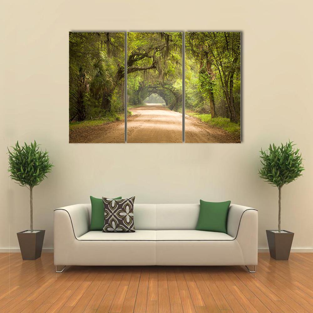 Travel In Deep Forest Of Spanish Moss Edisto Island Canvas Wall Art-3 Horizontal-Gallery Wrap-25" x 16"-Tiaracle