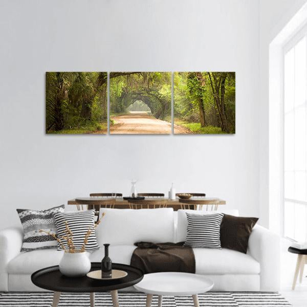 Spanish Moss Road at Edisto Island Panoramic Canvas Wall Art in beige, brown and green, hung on a wall