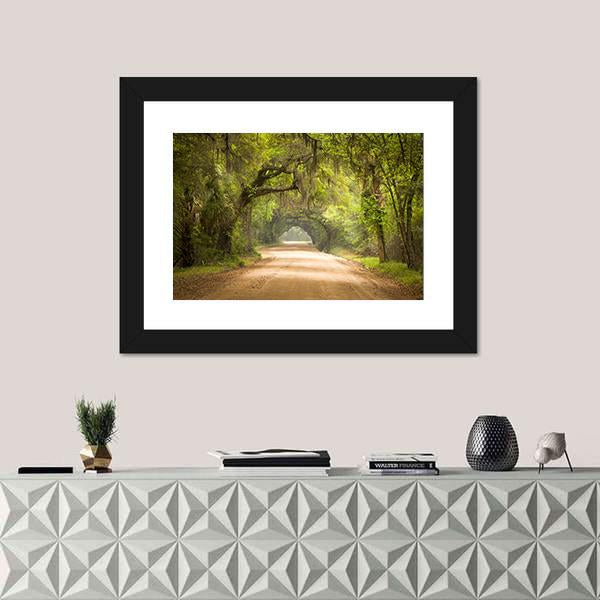 Travel In Deep Forest Of Spanish Moss Edisto Island Panoramic Canvas Wall Art-1 Piece-36&quot; x 12&quot;-Tiaracle
