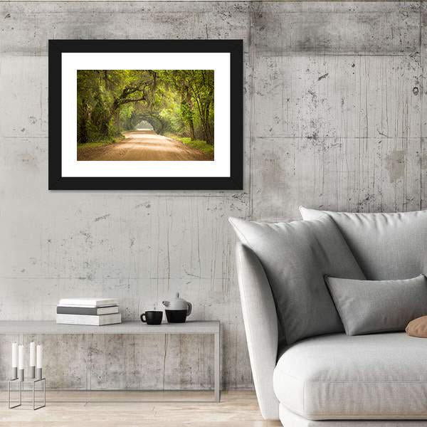 Travel In Deep Forest Of Spanish Moss Edisto Island Panoramic Canvas Wall Art-1 Piece-36" x 12"-Tiaracle
