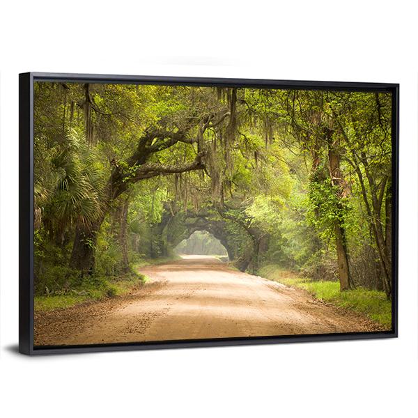 Travel In Deep Forest Of Spanish Moss Edisto Island Panoramic Canvas Wall Art-1 Piece-36&quot; x 12&quot;-Tiaracle