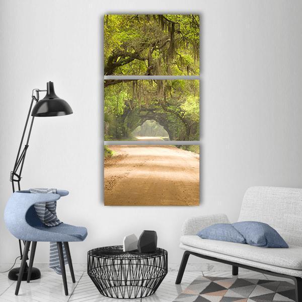 Travel In Deep Forest Of Spanish Moss Edisto Island Vertical Canvas Wall Art-3 Vertical-Gallery Wrap-12&quot; x 25&quot;-Tiaracle