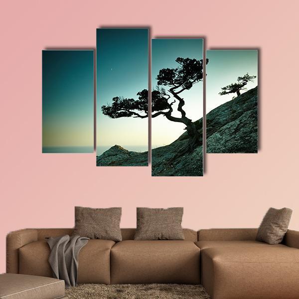 Tree & Sea At Sunset Canvas Wall Art-4 Pop-Gallery Wrap-50" x 32"-Tiaracle