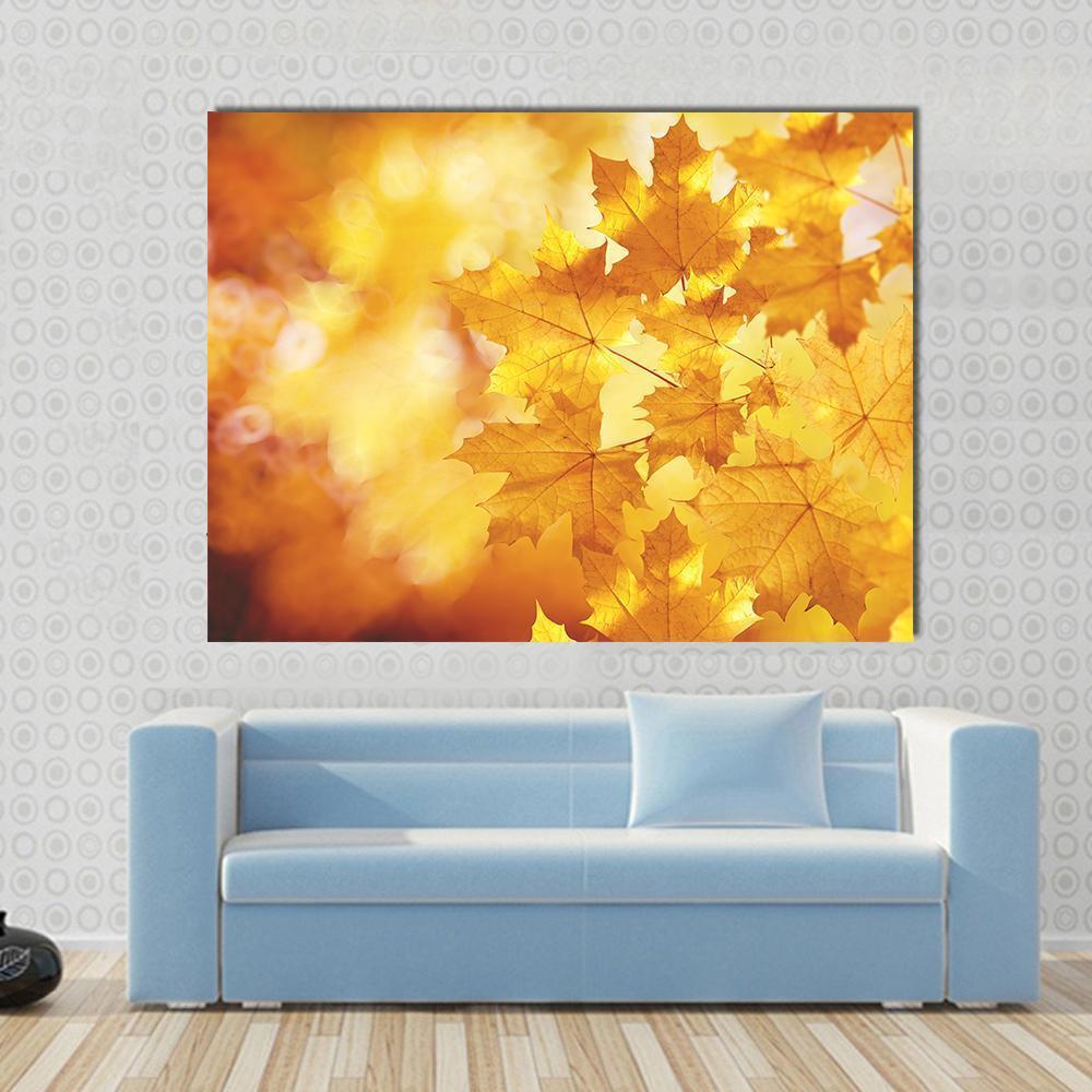 Tree Branch With Autumn Leaves Of A Maple Canvas Wall Art-1 Piece-Gallery Wrap-48" x 32"-Tiaracle