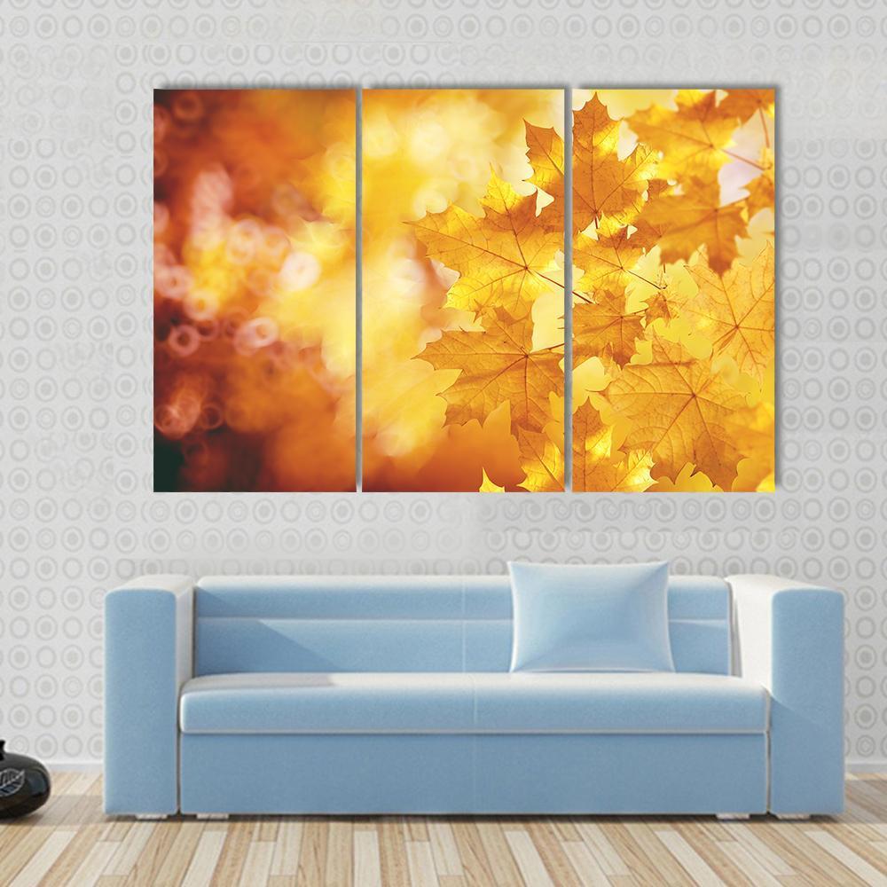 Tree Branch With Autumn Leaves Of A Maple Canvas Wall Art-3 Horizontal-Gallery Wrap-37" x 24"-Tiaracle