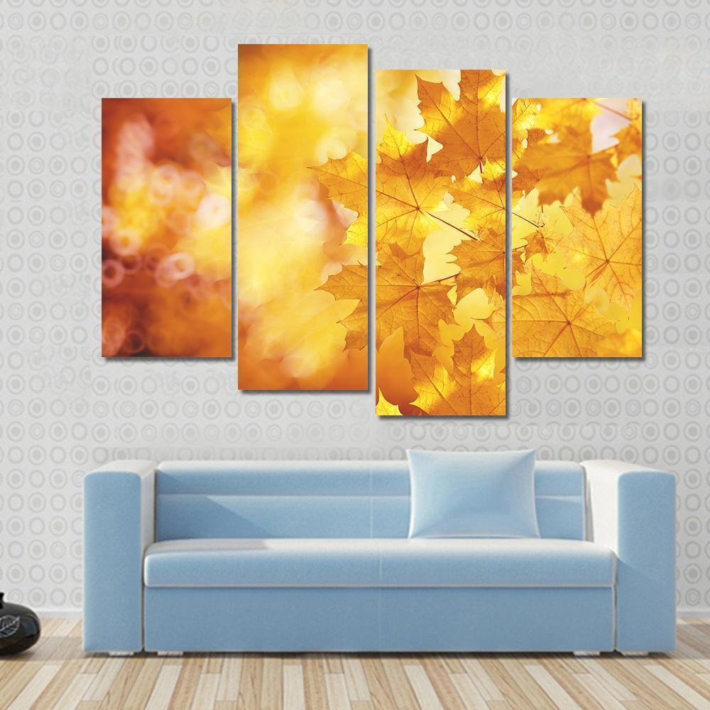 Tree Branch With Autumn Leaves Of A Maple Canvas Wall Art-4 Pop-Gallery Wrap-50" x 32"-Tiaracle