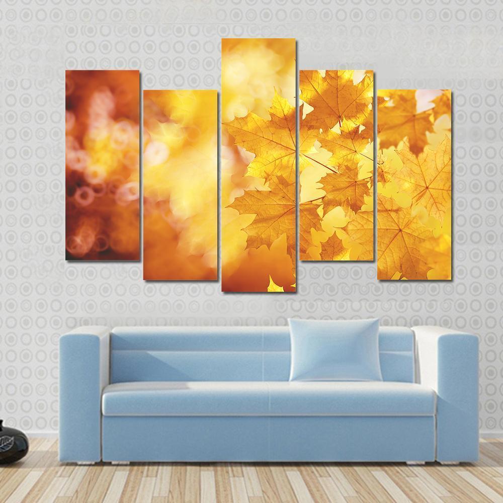 Tree Branch With Autumn Leaves Of A Maple Canvas Wall Art-5 Pop-Gallery Wrap-47" x 32"-Tiaracle