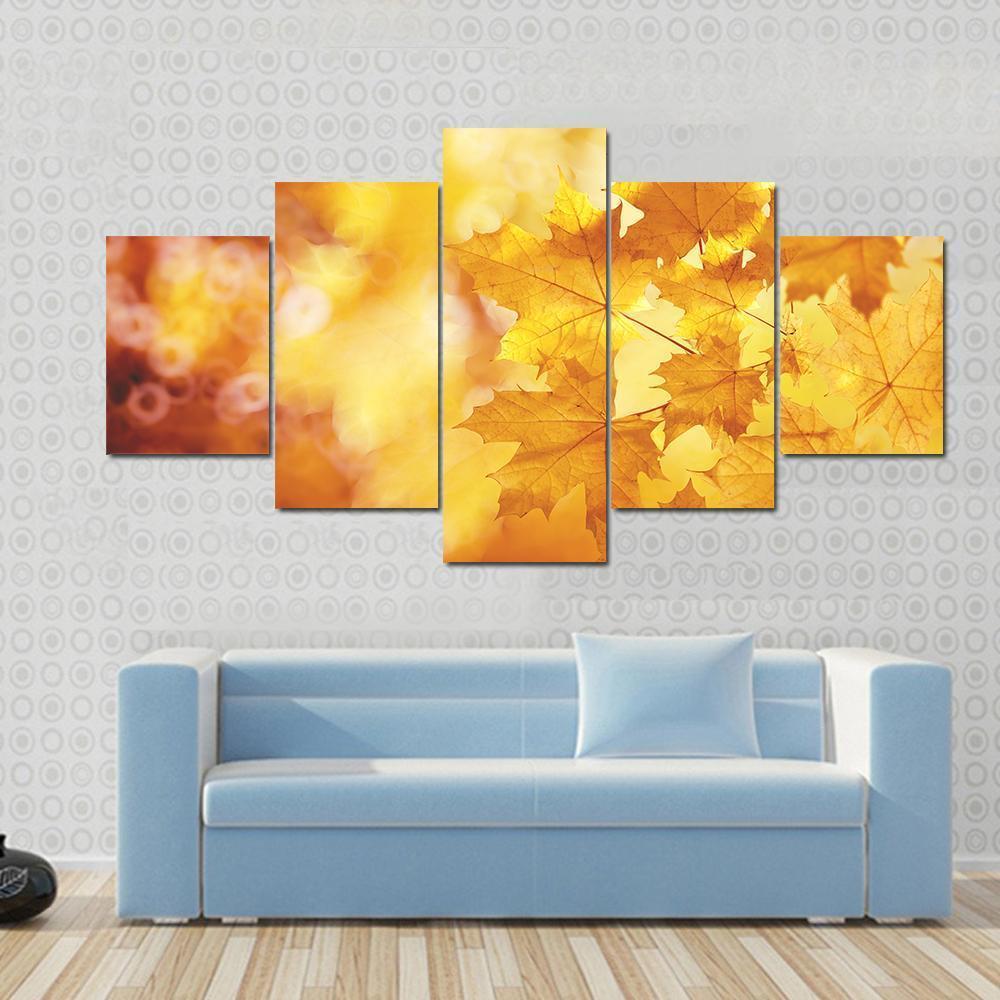 Tree Branch With Autumn Leaves Of A Maple Canvas Wall Art-5 Star-Gallery Wrap-62" x 32"-Tiaracle