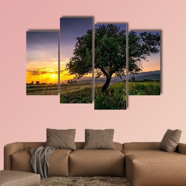 Tree By A Corn Field At Sunset Canvas Wall Art-4 Pop-Gallery Wrap-50" x 32"-Tiaracle