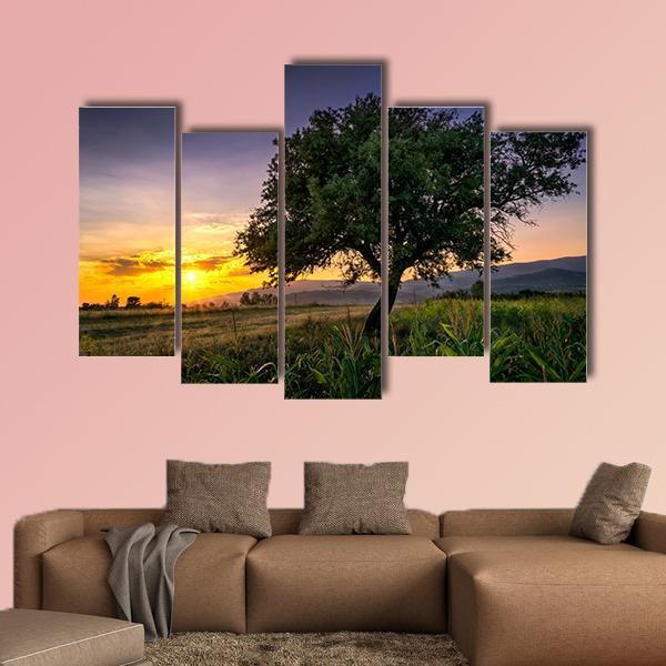 Tree By A Corn Field At Sunset Canvas Wall Art-5 Pop-Gallery Wrap-47" x 32"-Tiaracle