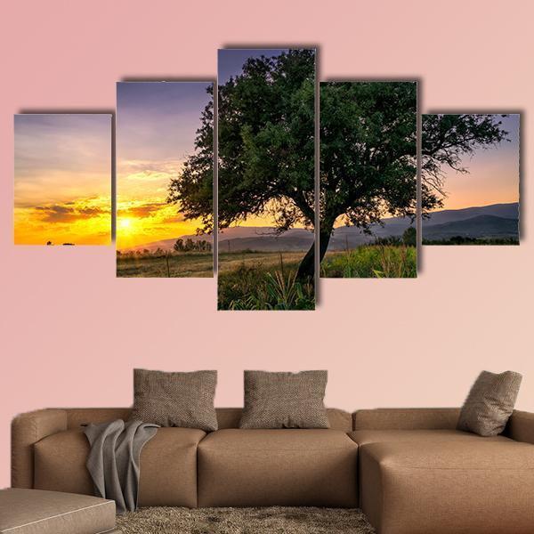 Tree By A Corn Field At Sunset Canvas Wall Art-5 Star-Gallery Wrap-62" x 32"-Tiaracle