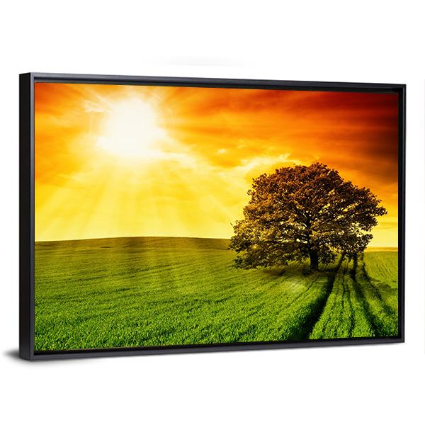 Tree In Field At Sunset Canvas Wall Art-3 Horizontal-Gallery Wrap-25" x 16"-Tiaracle