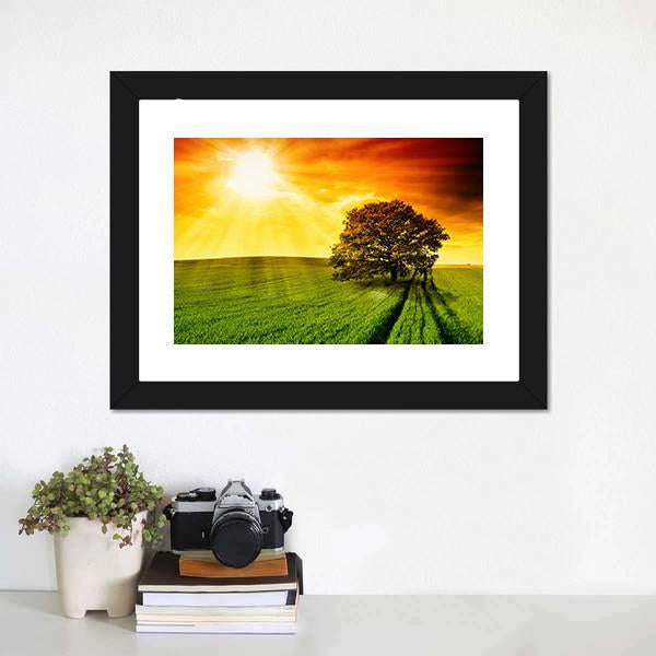 Tree In Field At Sunset Canvas Wall Art-1 Piece-Framed Print-20" x 16"-Tiaracle