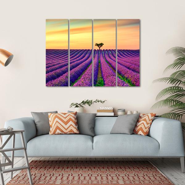 Tree In Lavender Field Canvas Wall Art-4 Horizontal-Gallery Wrap-34" x 24"-Tiaracle