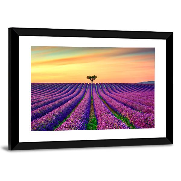 Tree In Lavender Field Canvas Wall Art-3 Horizontal-Gallery Wrap-25" x 16"-Tiaracle
