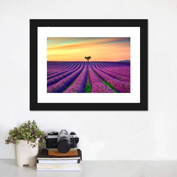 Tree In Lavender Field Canvas Wall Art-1 Piece-Framed Print-20" x 16"-Tiaracle