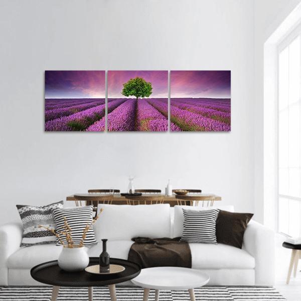 Lavender Field In Summer Panoramic Canvas Wall Art-3 Piece-25" x 08"-Tiaracle