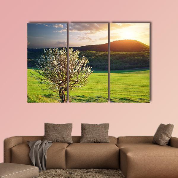 Tree In Mountain Meadow Canvas Wall Art-3 Horizontal-Gallery Wrap-25" x 16"-Tiaracle