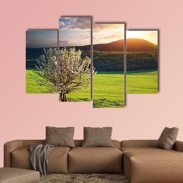 Tree In Mountain Meadow Canvas Wall Art-4 Pop-Gallery Wrap-50" x 32"-Tiaracle
