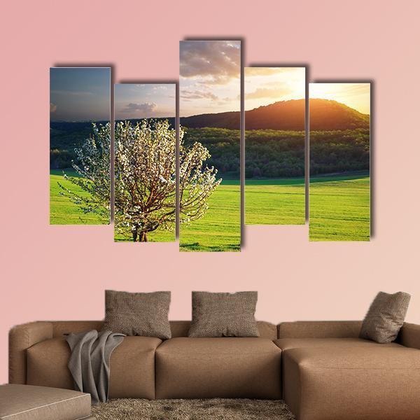 Tree In Mountain Meadow Canvas Wall Art-5 Pop-Gallery Wrap-47" x 32"-Tiaracle