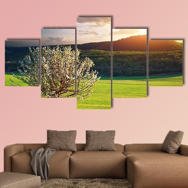 Tree In Mountain Meadow Canvas Wall Art-5 Star-Gallery Wrap-62" x 32"-Tiaracle