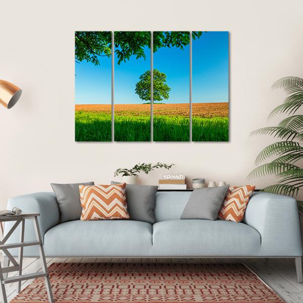 Tree In The Field And Blue Sky Canvas Wall Art-4 Horizontal-Gallery Wrap-34" x 24"-Tiaracle