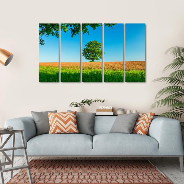 Tree In The Field And Blue Sky Canvas Wall Art-5 Horizontal-Gallery Wrap-22" x 12"-Tiaracle
