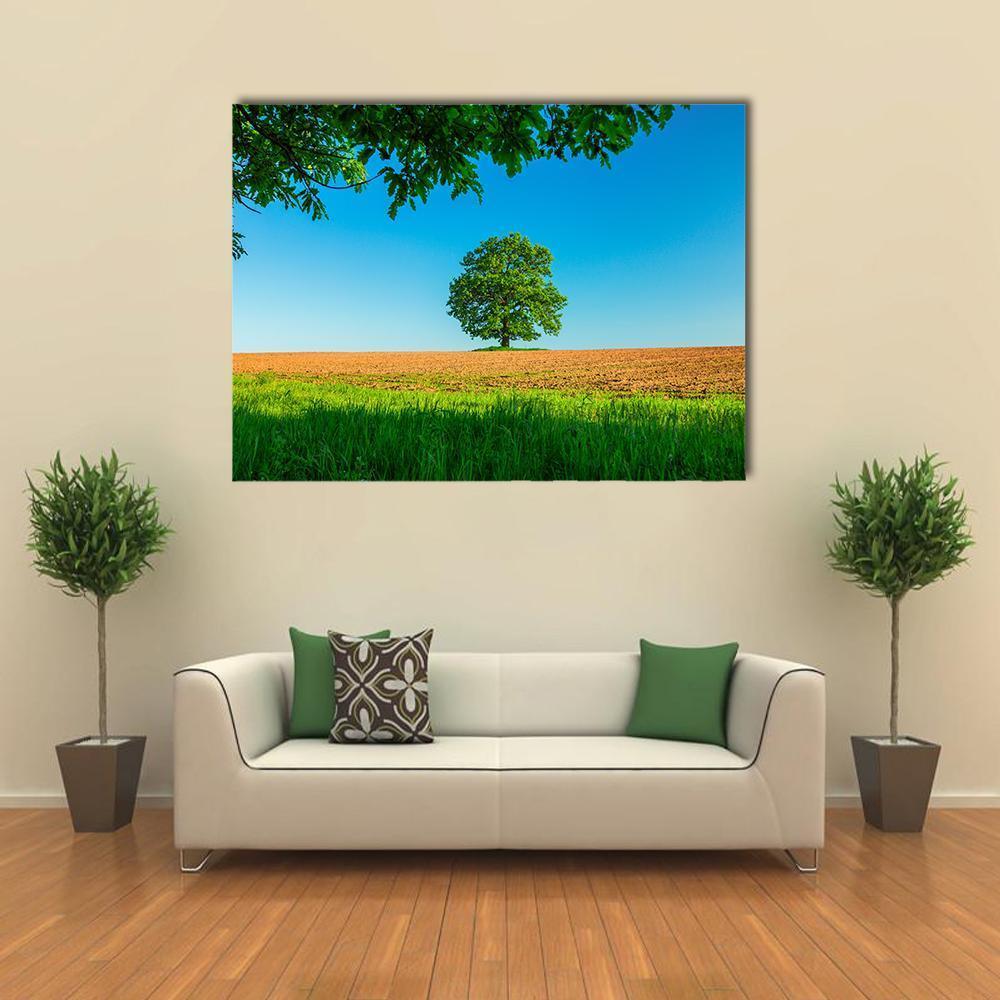 Tree in Field Under Blue Sky Canvas Wall Art in brown, green and blue, single panel hung on a wall