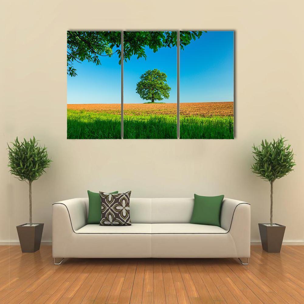 Tree In The Field And Blue Sky Canvas Wall Art-3 Horizontal-Gallery Wrap-37" x 24"-Tiaracle