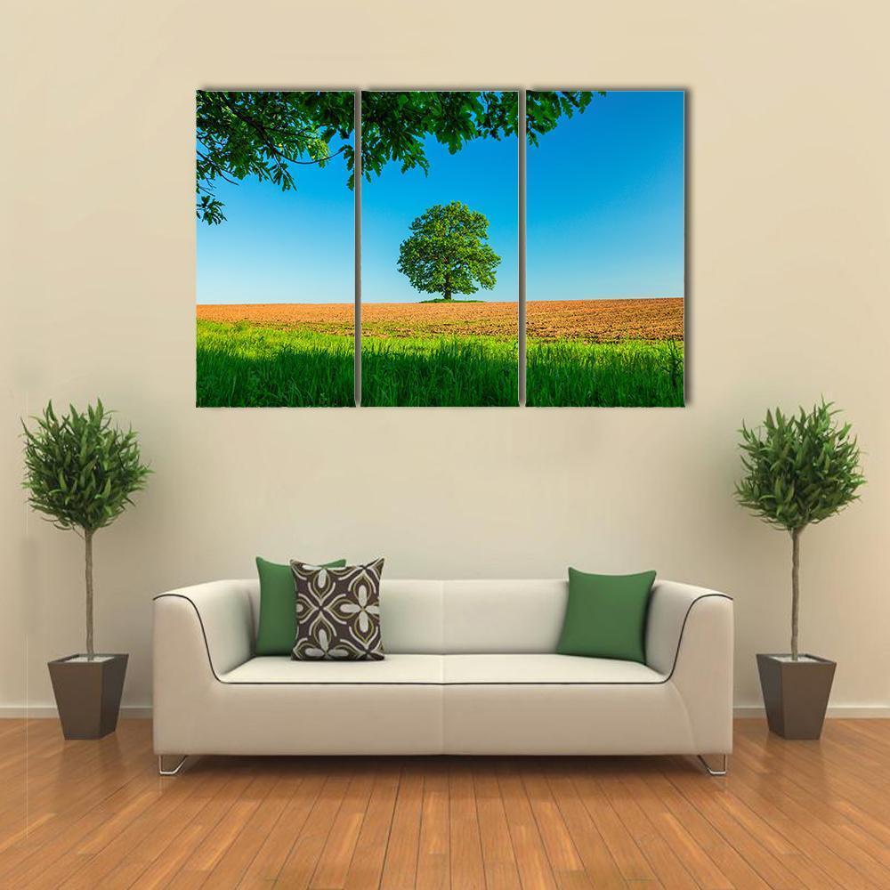 Tree In The Field And Blue Sky Canvas Wall Art-3 Horizontal-Gallery Wrap-37" x 24"-Tiaracle