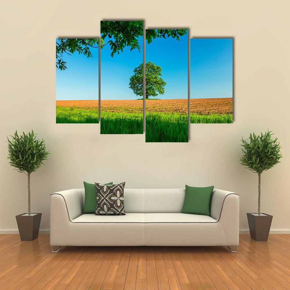 Tree In The Field And Blue Sky Canvas Wall Art-4 Pop-Gallery Wrap-50" x 32"-Tiaracle