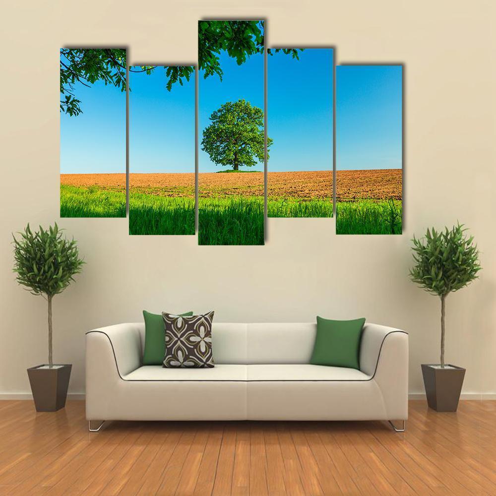 Tree In The Field And Blue Sky Canvas Wall Art-5 Pop-Gallery Wrap-47" x 32"-Tiaracle