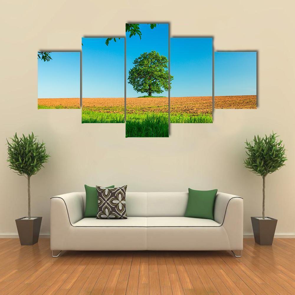Tree In The Field And Blue Sky Canvas Wall Art-5 Star-Gallery Wrap-62" x 32"-Tiaracle