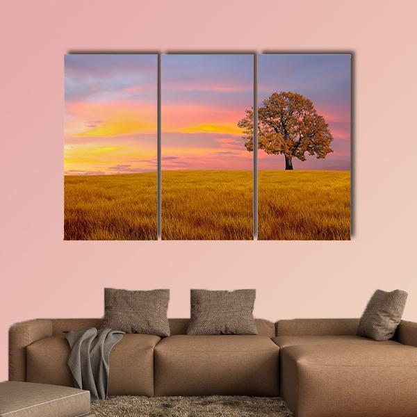 Tree In The Field With Clouds Canvas Wall Art-3 Horizontal-Gallery Wrap-37" x 24"-Tiaracle