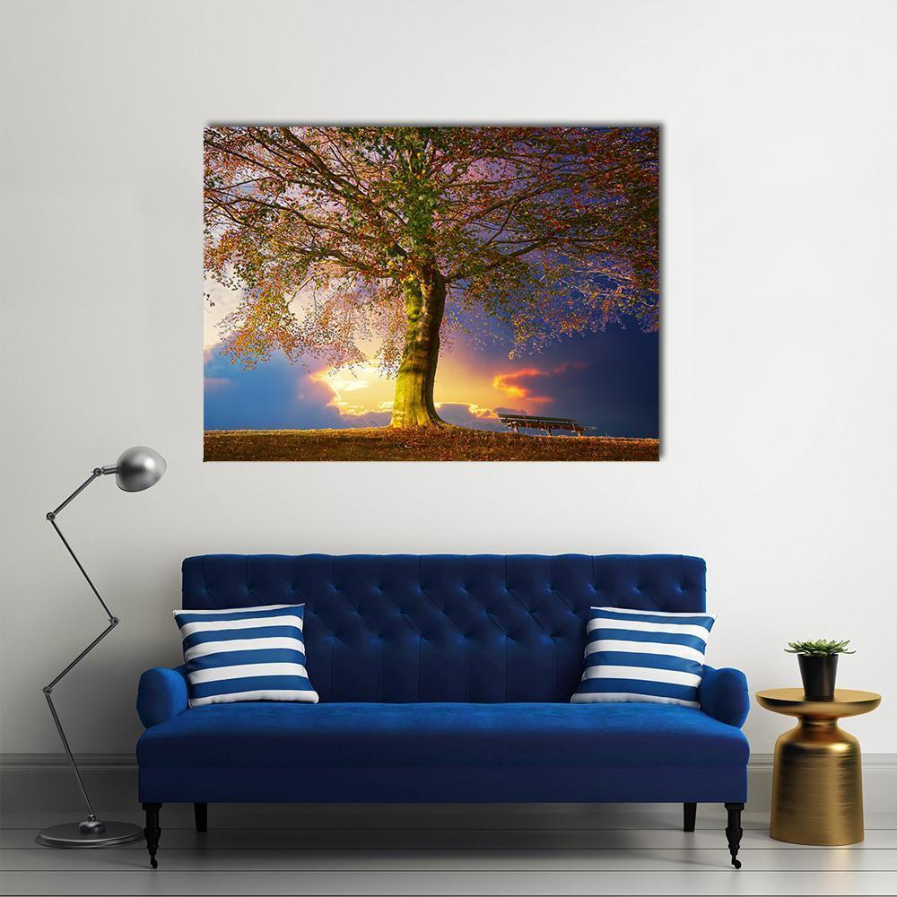 Tree in the Park Canvas Wall Art in brown, orange and blue, single panel hung on a wall
