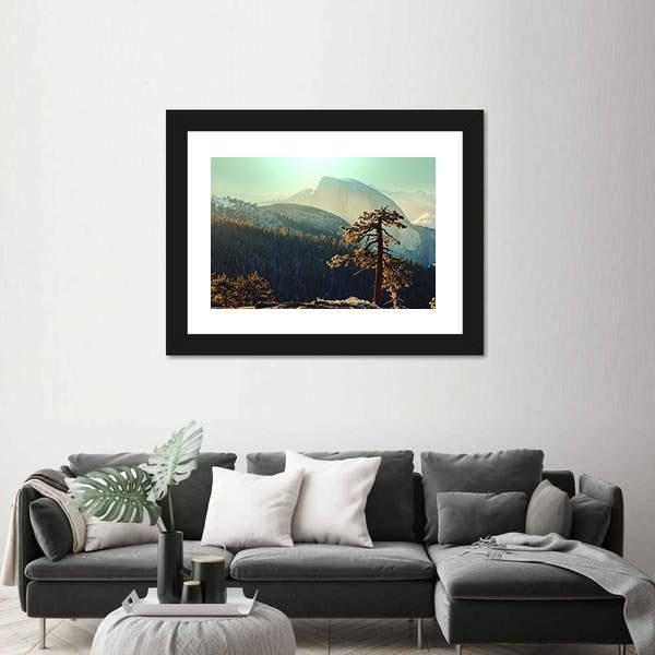 Tree In Yosemite Landscapes Canvas Wall Art-1 Piece-Framed Print-20" x 16"-Tiaracle