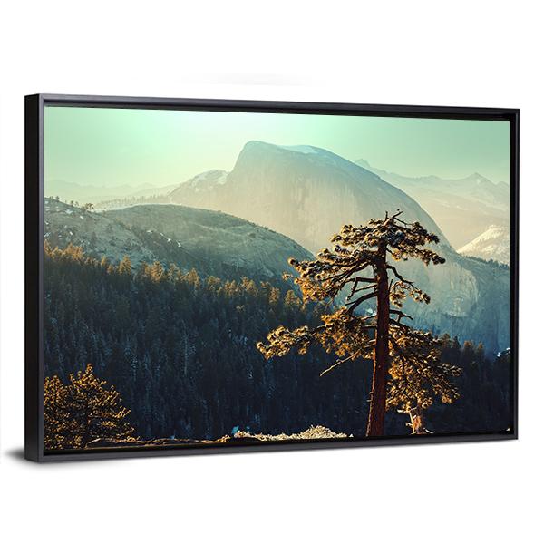 Tree In Yosemite Landscapes Canvas Wall Art-3 Horizontal-Gallery Wrap-25" x 16"-Tiaracle