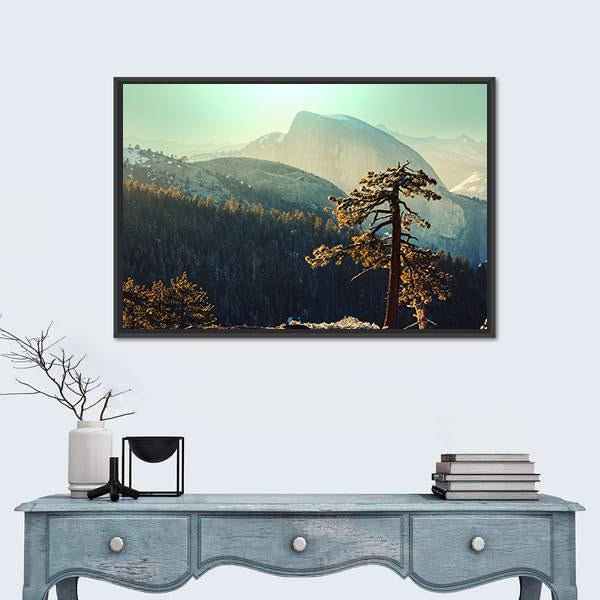 Tree In Yosemite Landscapes Canvas Wall Art-3 Horizontal-Gallery Wrap-25" x 16"-Tiaracle
