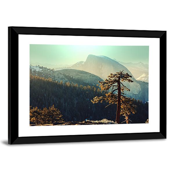 Tree In Yosemite Landscapes Canvas Wall Art-3 Horizontal-Gallery Wrap-25" x 16"-Tiaracle