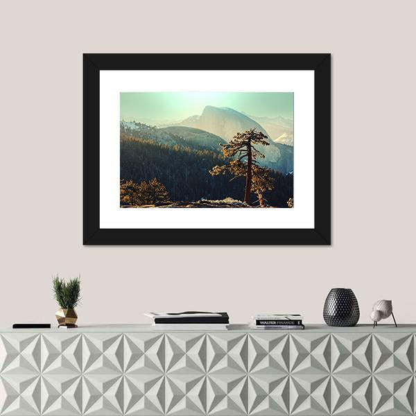 Tree In Yosemite Landscapes Canvas Wall Art-3 Horizontal-Gallery Wrap-25" x 16"-Tiaracle