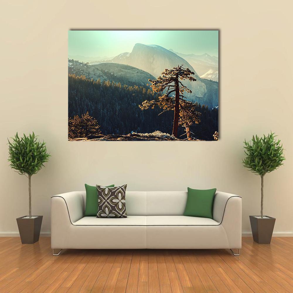 Tree In Yosemite Landscapes Canvas Wall Art-1 Piece-Gallery Wrap-48" x 32"-Tiaracle
