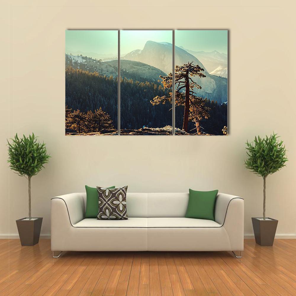 Pine Tree in Yosemite Landscape Canvas Wall Art in brown, green and blue, 3 panel horizontal set hung on a wall