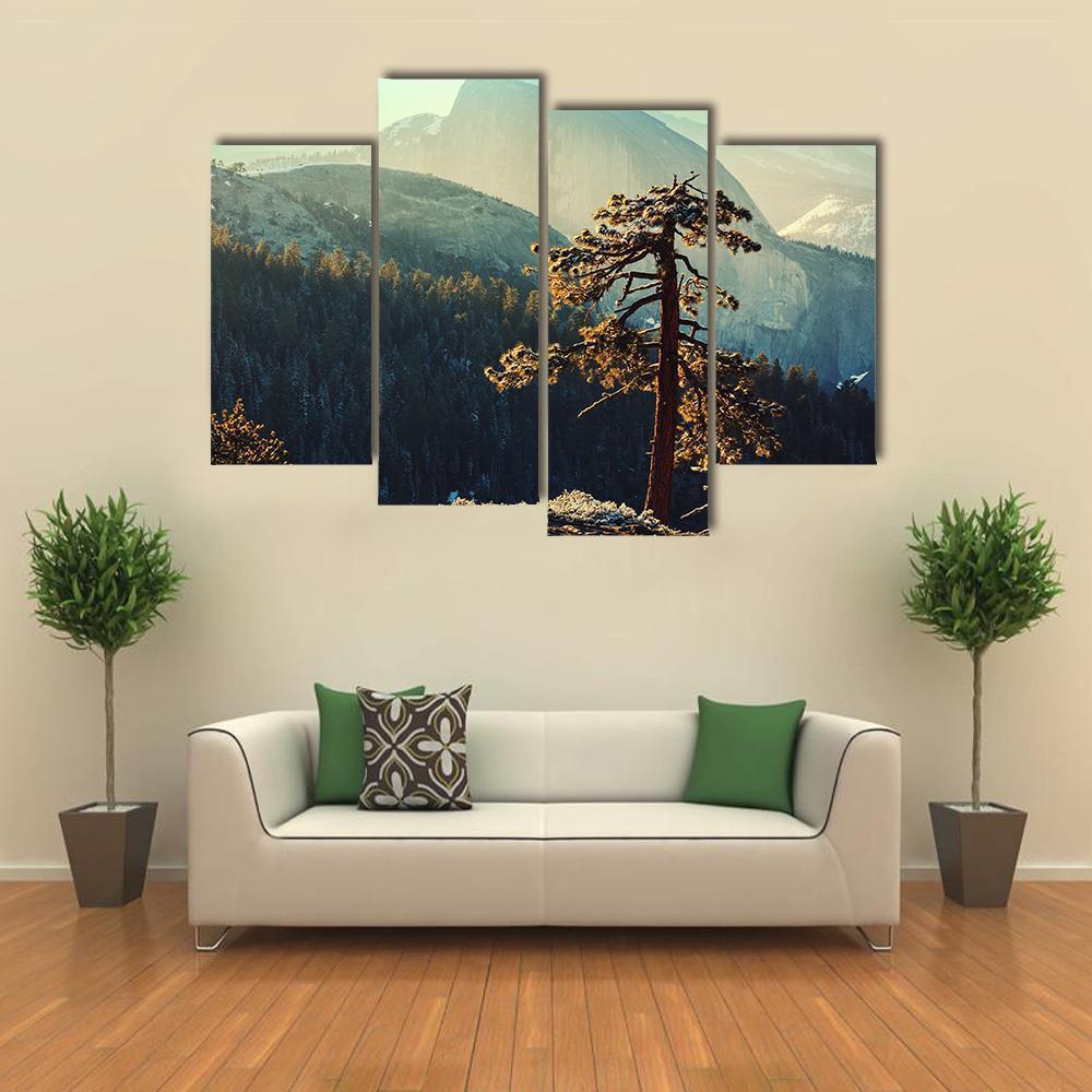 Tree In Yosemite Landscapes Canvas Wall Art-4 Pop-Gallery Wrap-50" x 32"-Tiaracle
